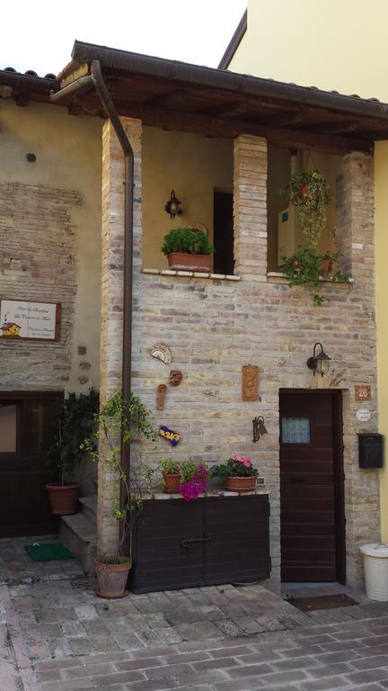 B&B La Casuccia Di Assisi Exterior photo